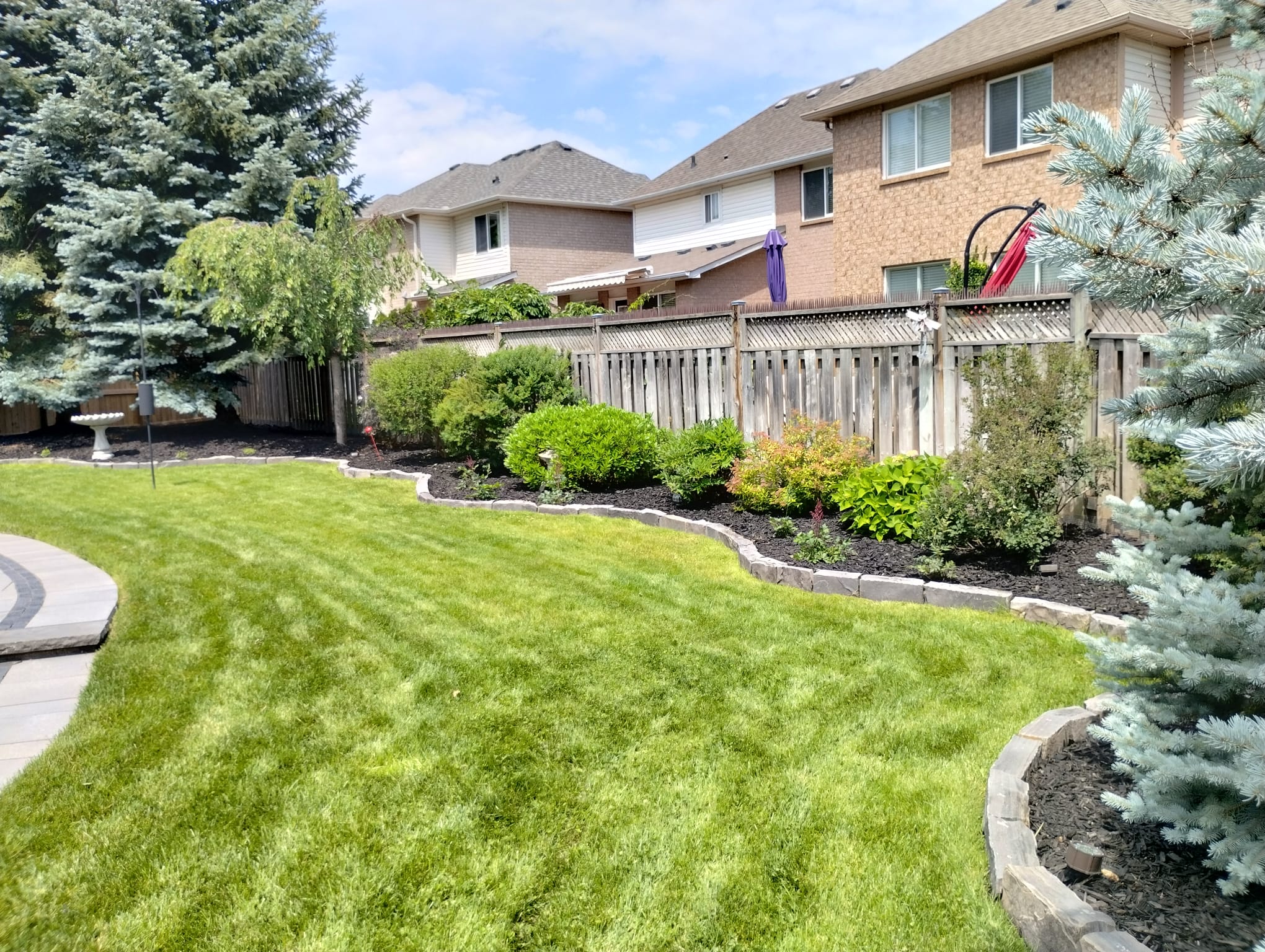 Front yard sod and mulch beds restored after yard grading in Dundas