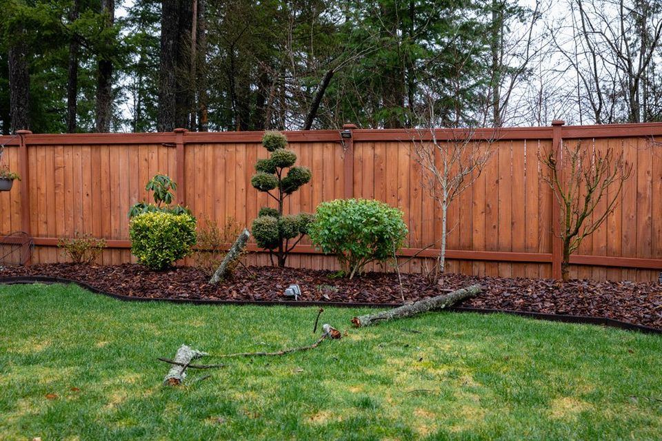 Stained wood privacy fence with shrub and topiary garden bed beside a fresh lawn